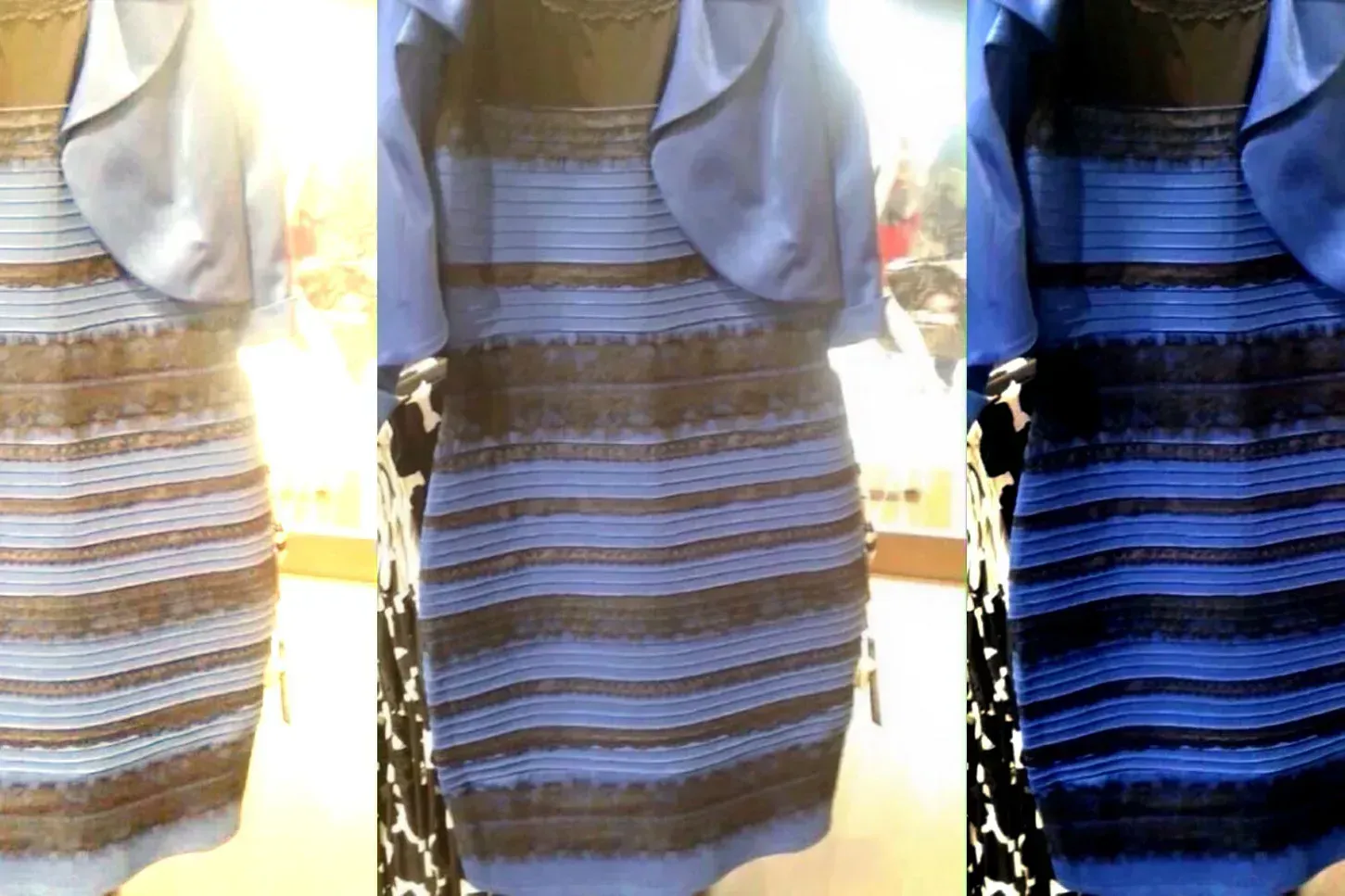 The Dress: How One Photo Broke the Internet’s Sense of Color (Image Credits: Pixabay)