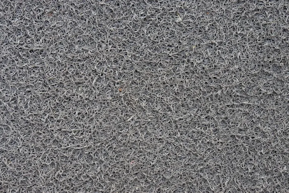 3. The “Spaghetti” Mat Organisms That Might Not Be Individual Animals At All (Image Credits: Pexels)