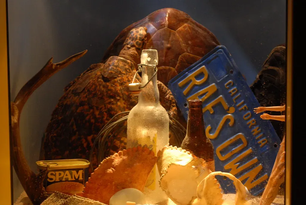 Cans, Bottles, And Beverage Packaging (holisticmonkey, Flickr, CC BY 2.0)
