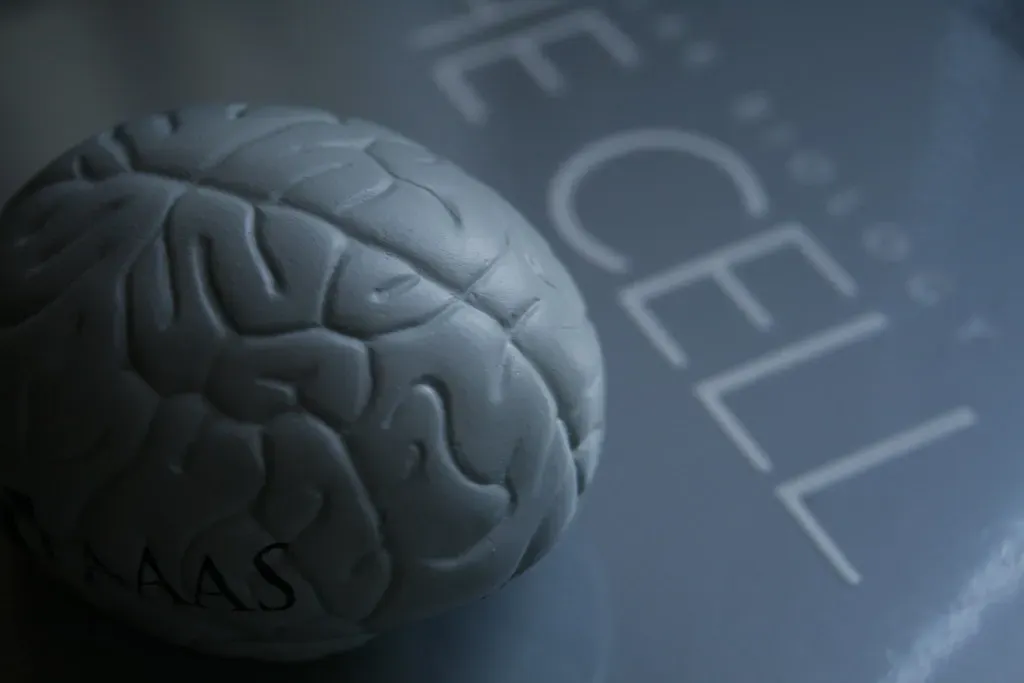 Why Memory Makes This Even Harder to Untangle (jepoirrier, Flickr, CC BY-SA 2.0)