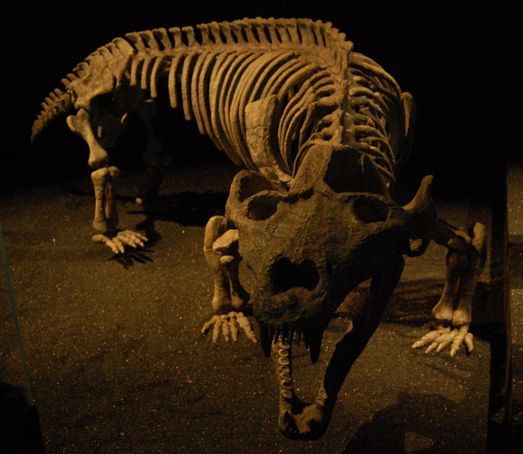 When Giants Walked the Earth by Day (Image Credits: Wikimedia)