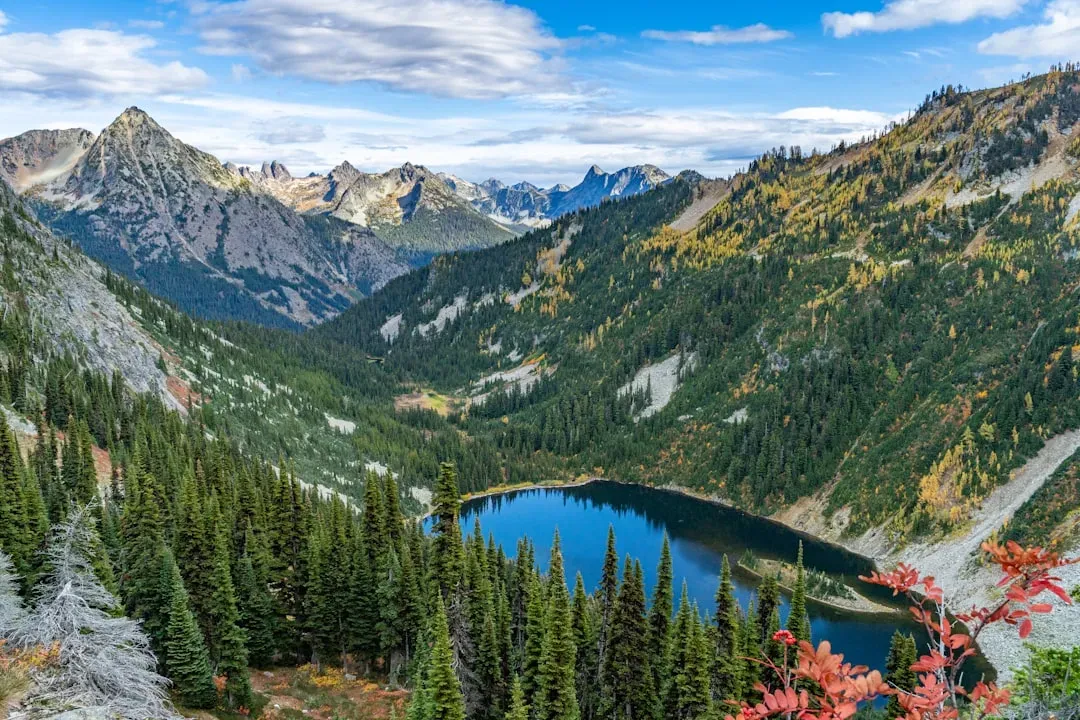 5. North Cascades National Park, Washington - The American Alps Nobody Visits (Image Credits: Unsplash)