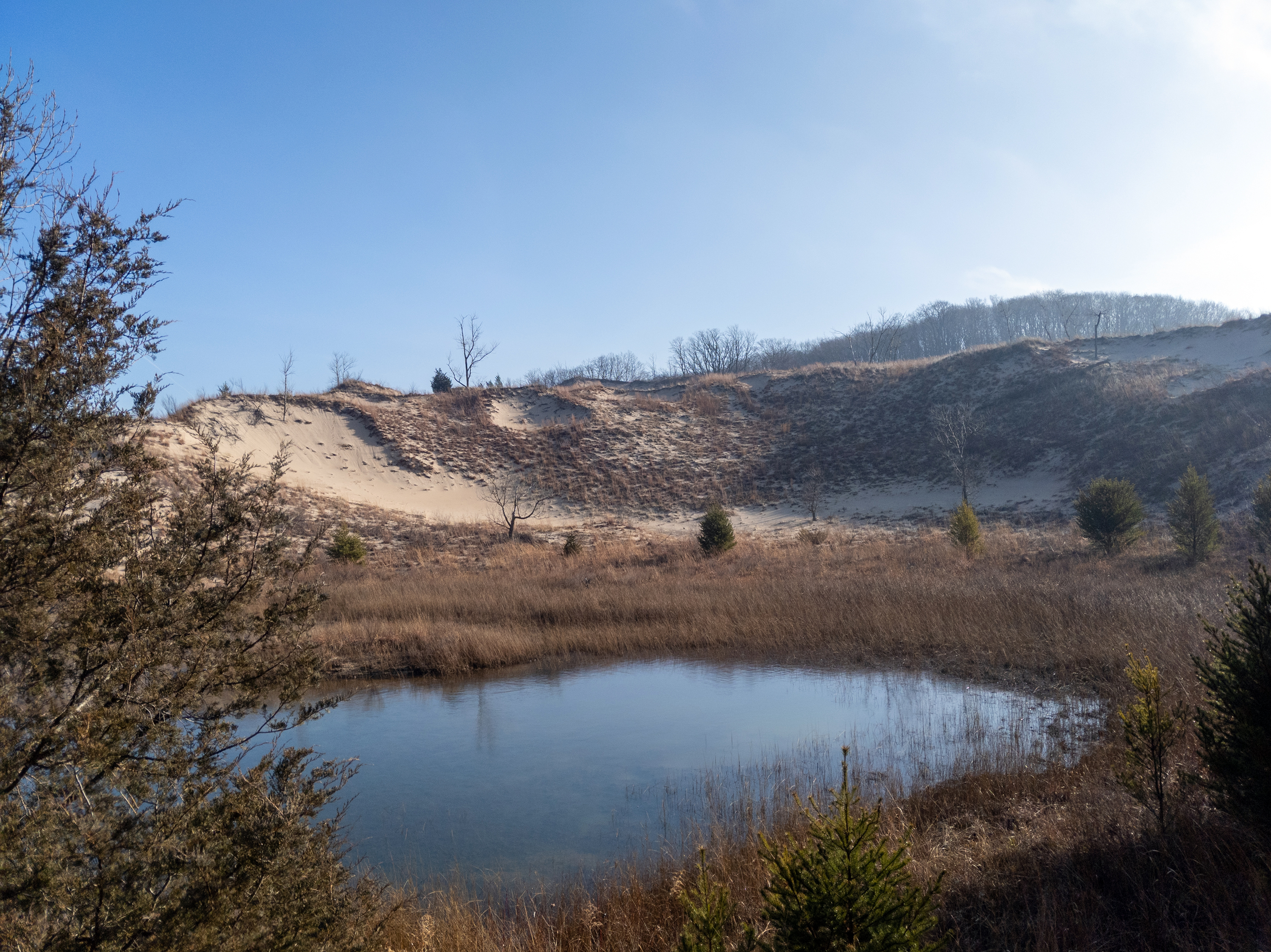Indiana Dunes National Park, Indiana (Image Credits: Wikimedia)