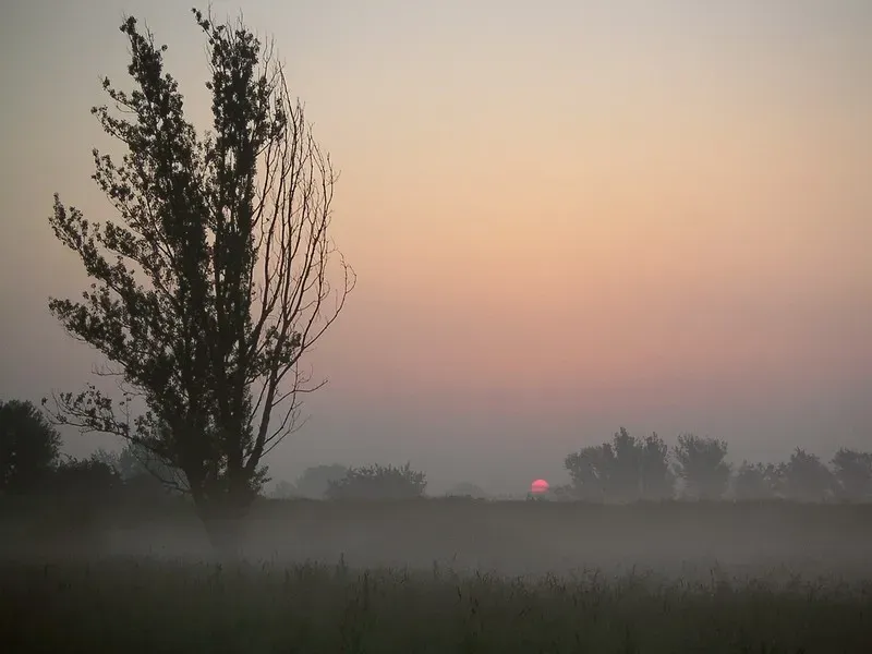 Solstices as climate sentinels in a warming world (Image Credits: Wikimedia)