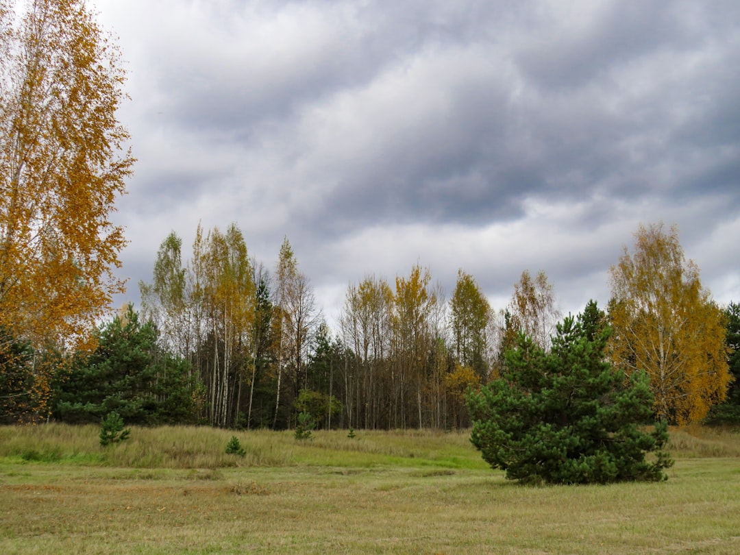 Age Matters in Forest (Image Credits: Unsplash)