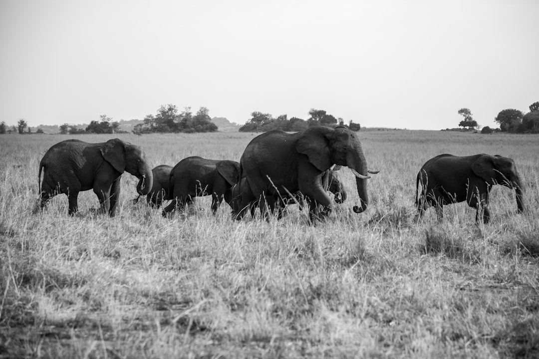 Why It Matters (Image Credits: Unsplash)