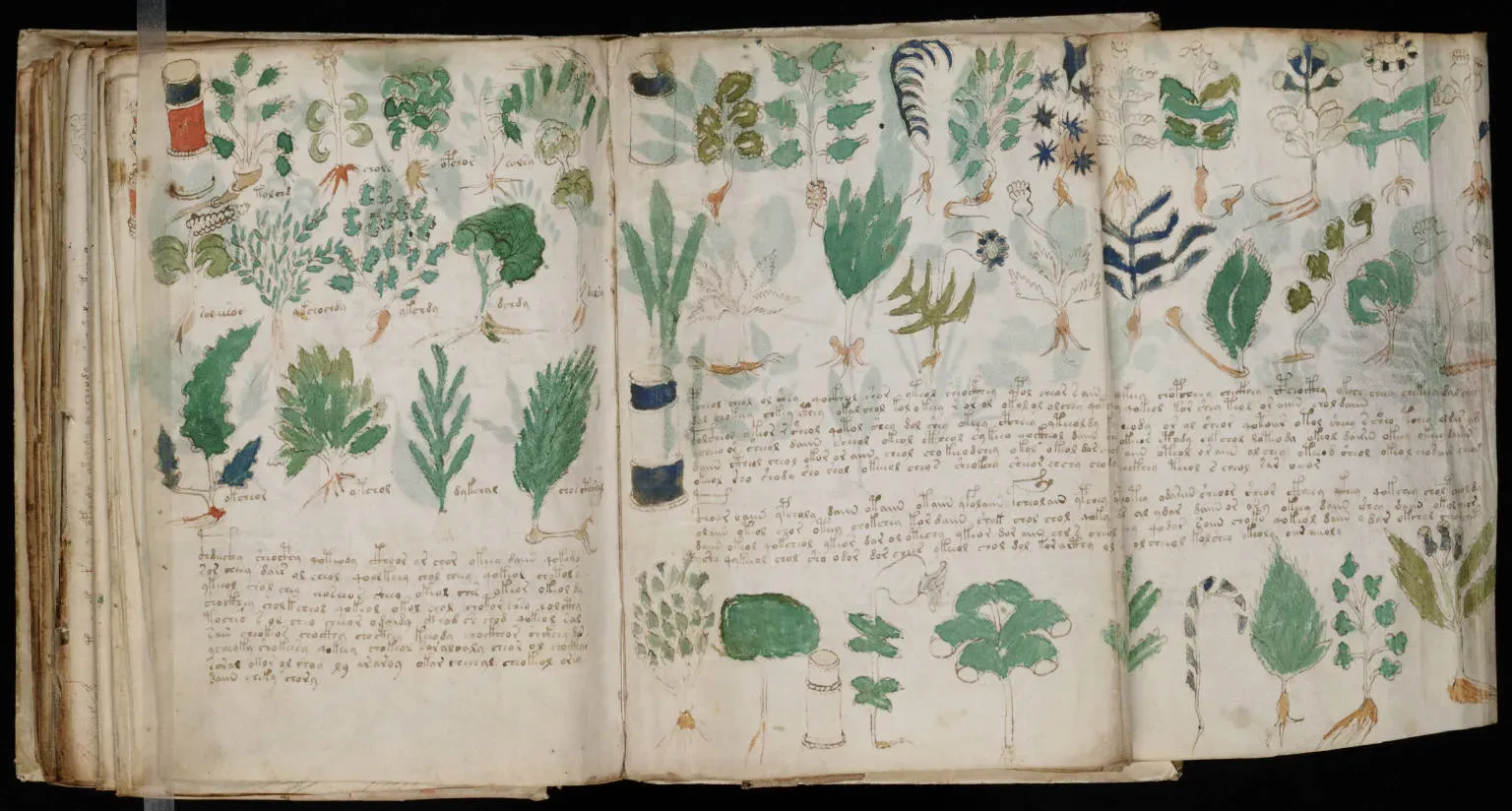 The Voynich Manuscript: Medieval Cipher or Elaborate Hoax? (Image Credits: Wikimedia)