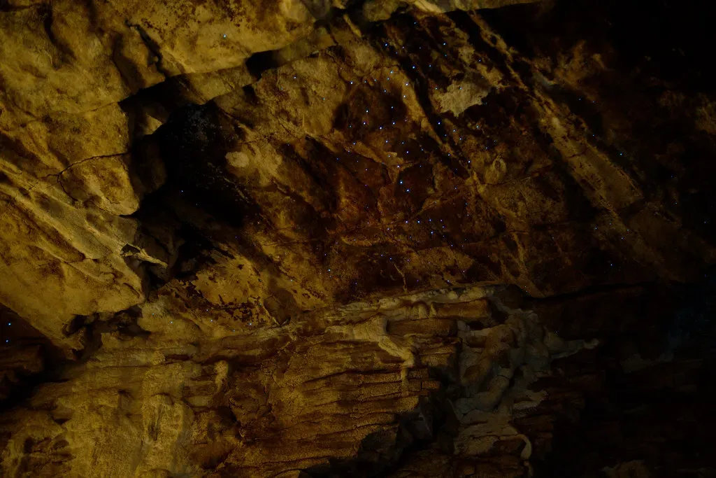 The Fairy-Tale Glowworm Caves of Waitomo, New Zealand (Image Credits: Flickr)