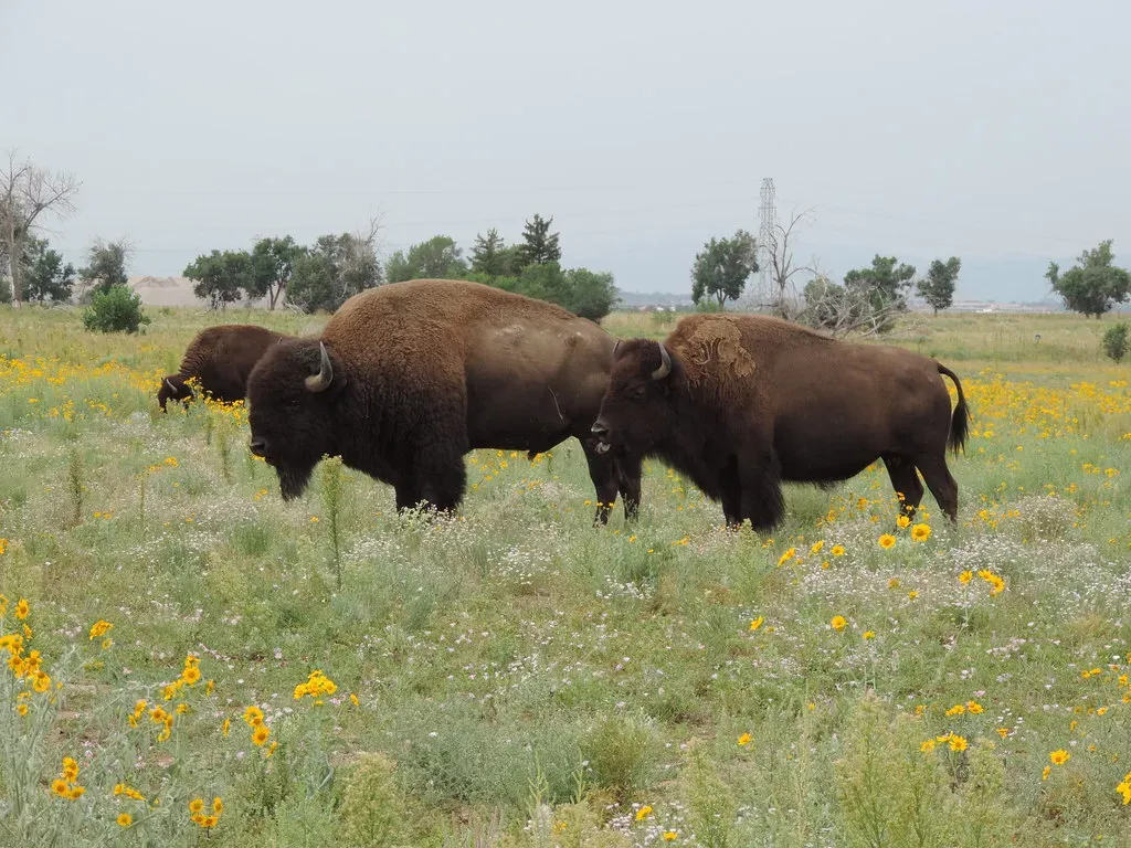 6. Using Private Land Conservation and Easements to Protect Working Landscapes (USFWS Mountain Prairie, Flickr, CC BY 2.0)
