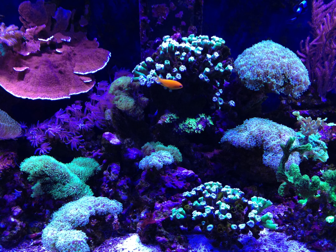 Future Implications for Marine Discovery (Image Credits: Unsplash)