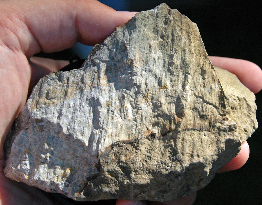 Reading the Ancient Signatures (Image Credits: Flickr)