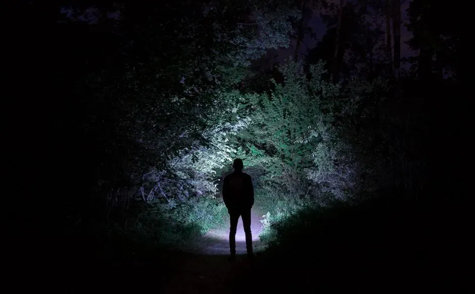 Isolation, Silence, and the Fear of Being Completely Alone (Image Credits: Pexels)