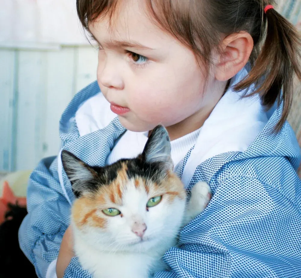 What This Reveals About You, Not Just Your Animal (Image Credits: Pixabay)