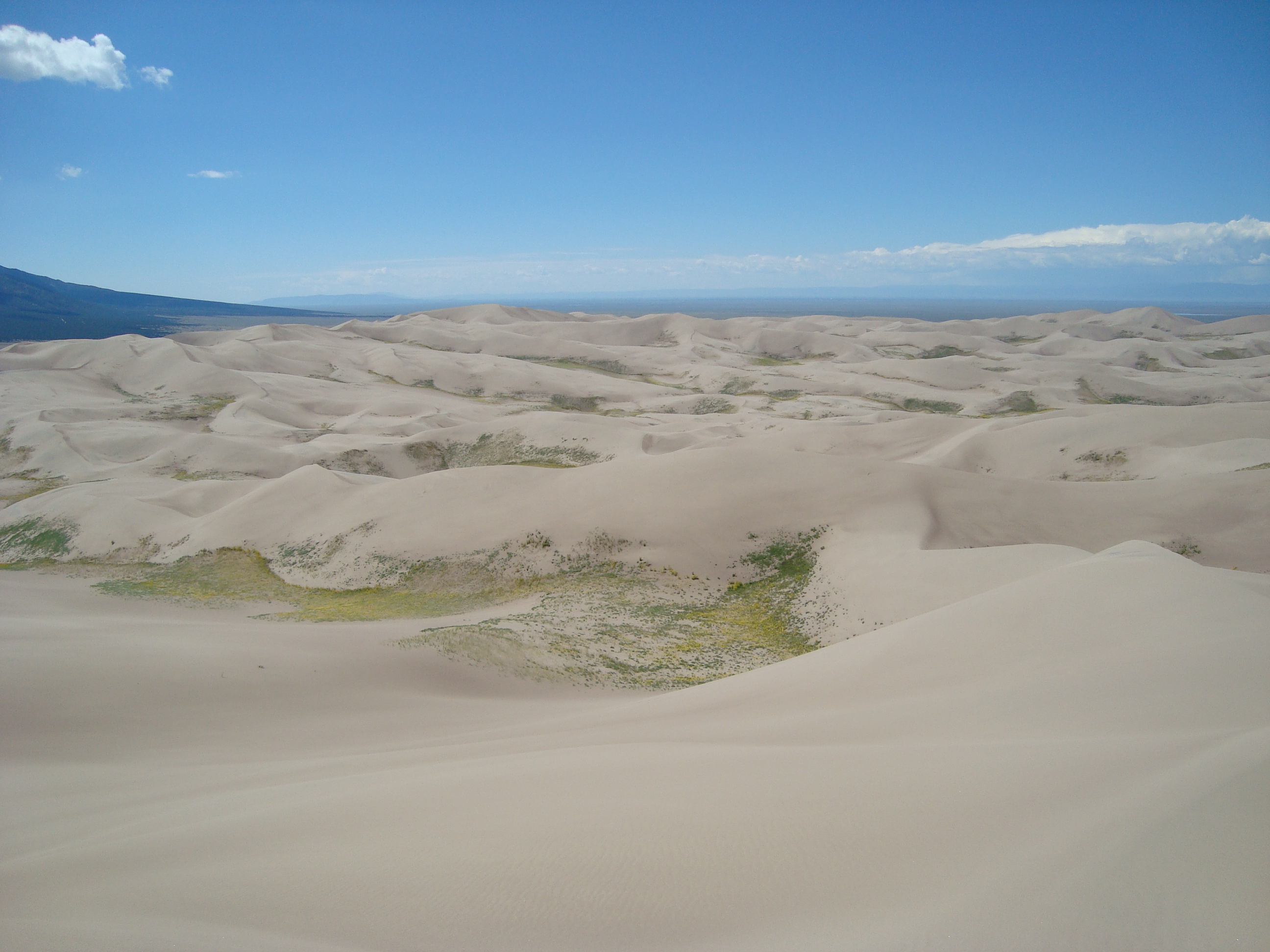 Great Sand Dunes National Park, Colorado (Image Credits: Wikimedia)