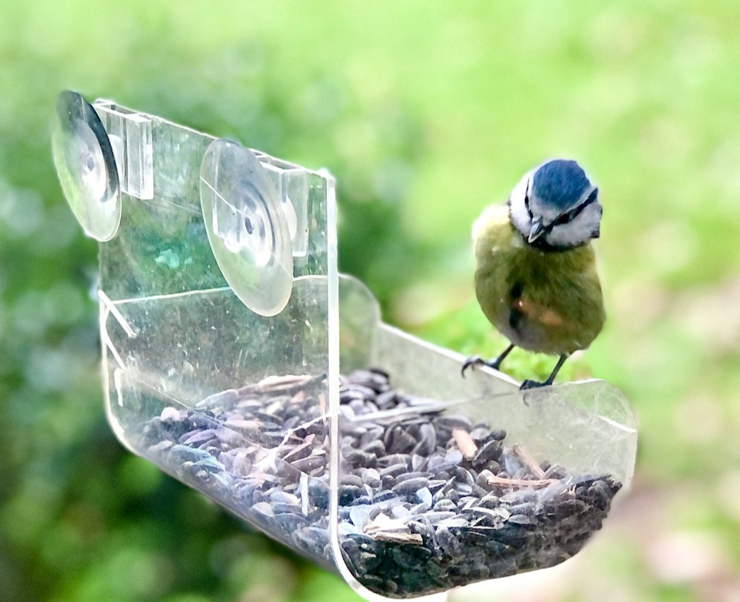 New York City: Early Proof on a Massive Facade (Image Credits: Unsplash)