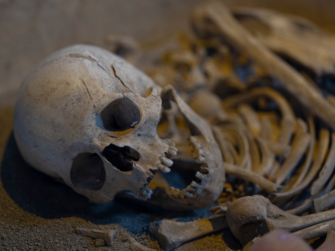 From Ancient Bones to Modern Science (Image Credits: Unsplash)