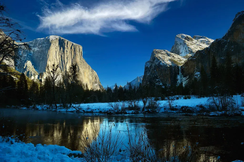 8. Earth as a Managed Wilderness (Harold Litwiler, Poppy, Flickr, CC BY-SA 2.0)