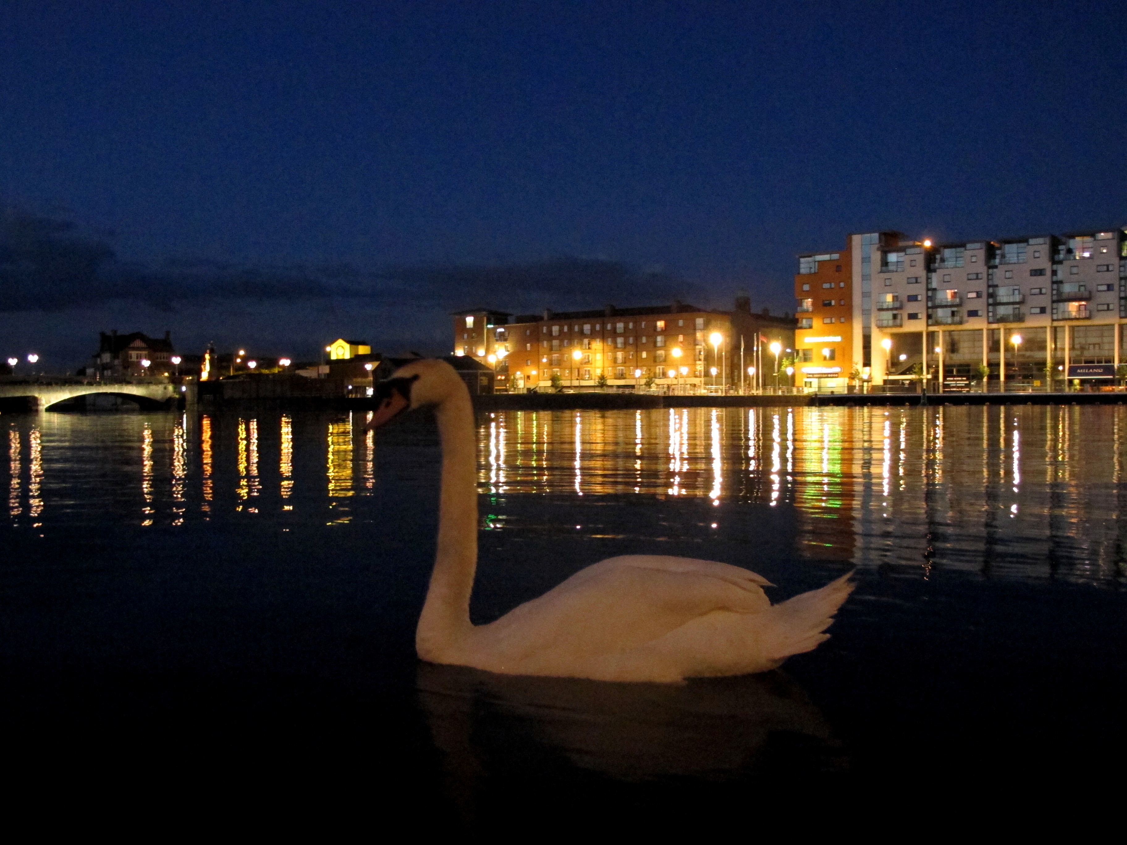 Water Signs: The Lunar Night Swimmers (Image Credits: By Claire WatersLulu, CC BY-SA 4.0, https://commons.wikimedia.org/w/index.php?curid=43068021)