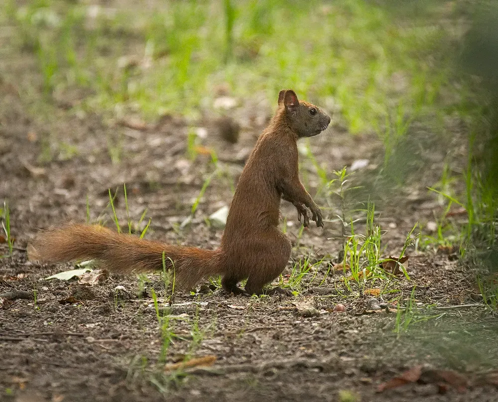 Remarkable Studies That Changed the Conversation (hedera.baltica, Flickr, CC BY-SA 2.0)