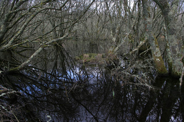 Oxygen's Disappearing Act (Image Credits: Wikimedia)