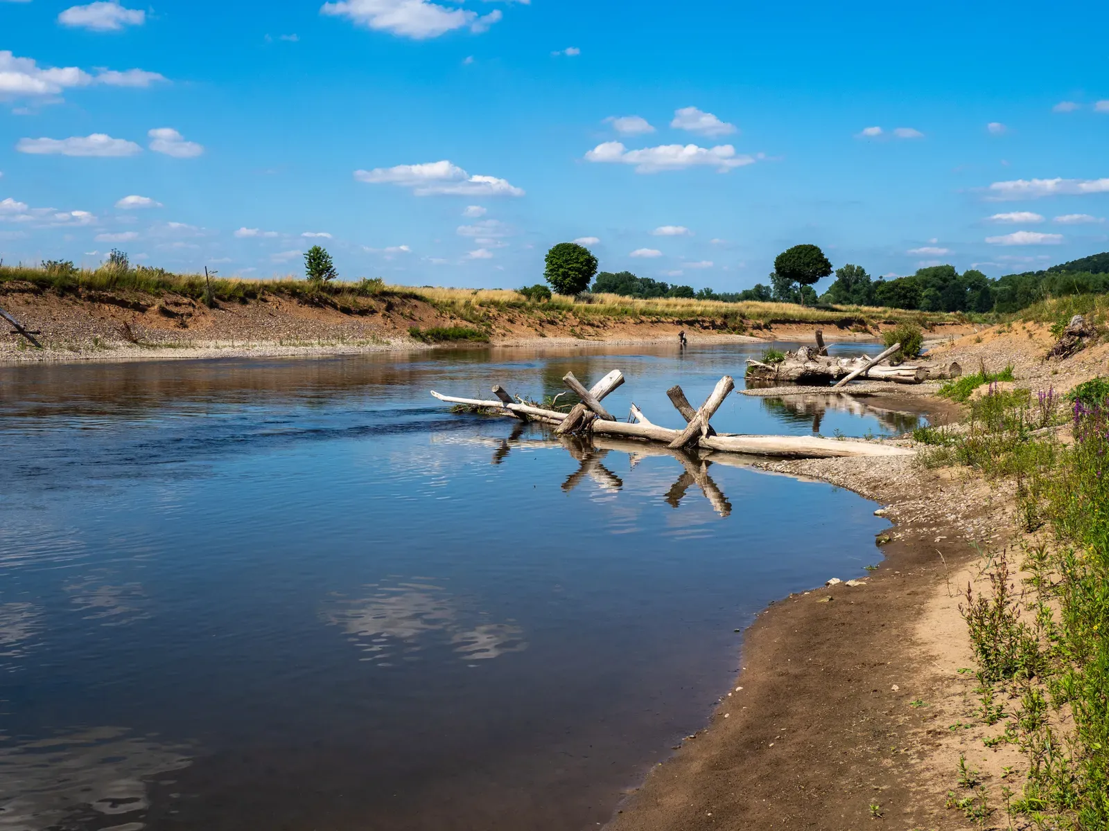 Human–Nature Partnerships That Help Recovery Along (By Ermell, CC BY-SA 4.0)