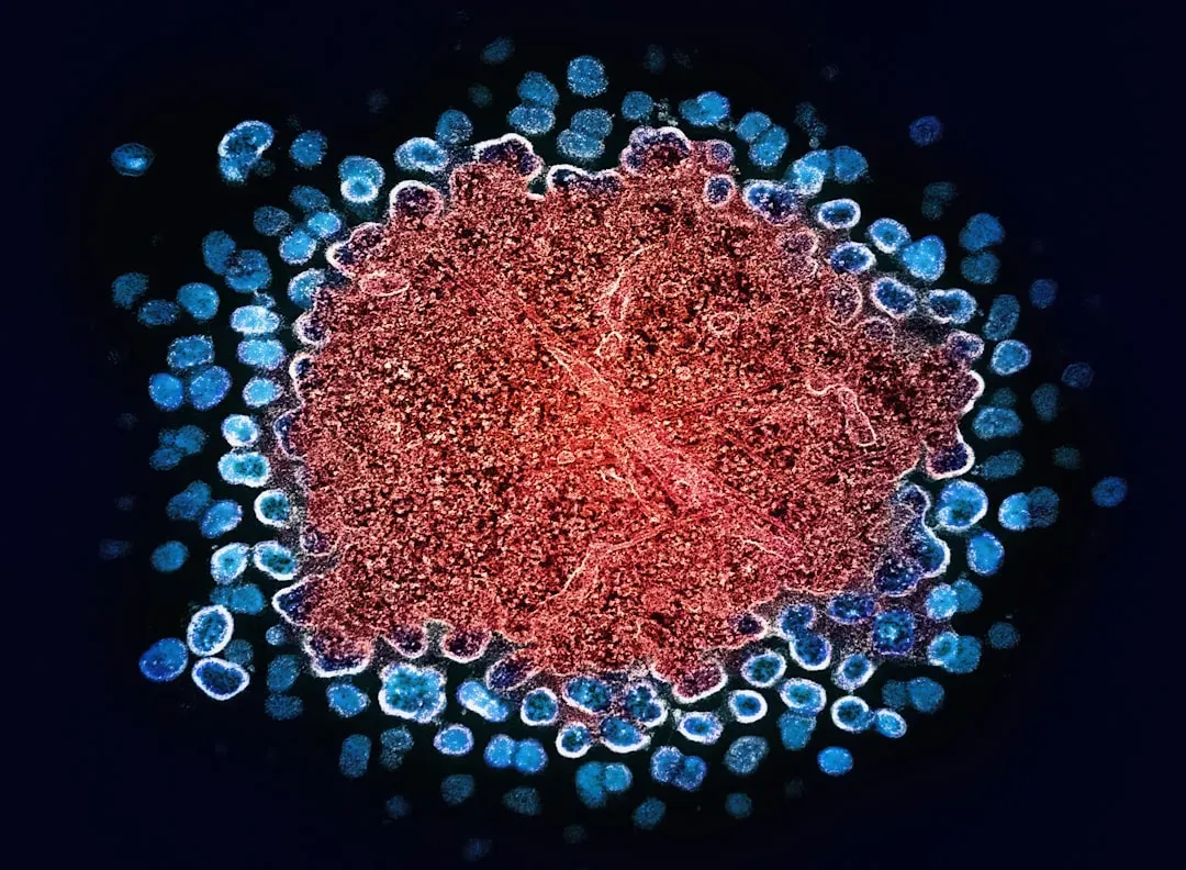 Conclusion: Your Body Is More Capable Than You Think (Image Credits: Unsplash)