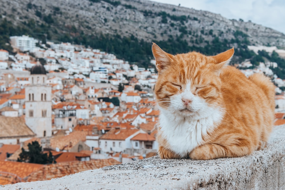 Why It Matters (Image Credits: Unsplash)