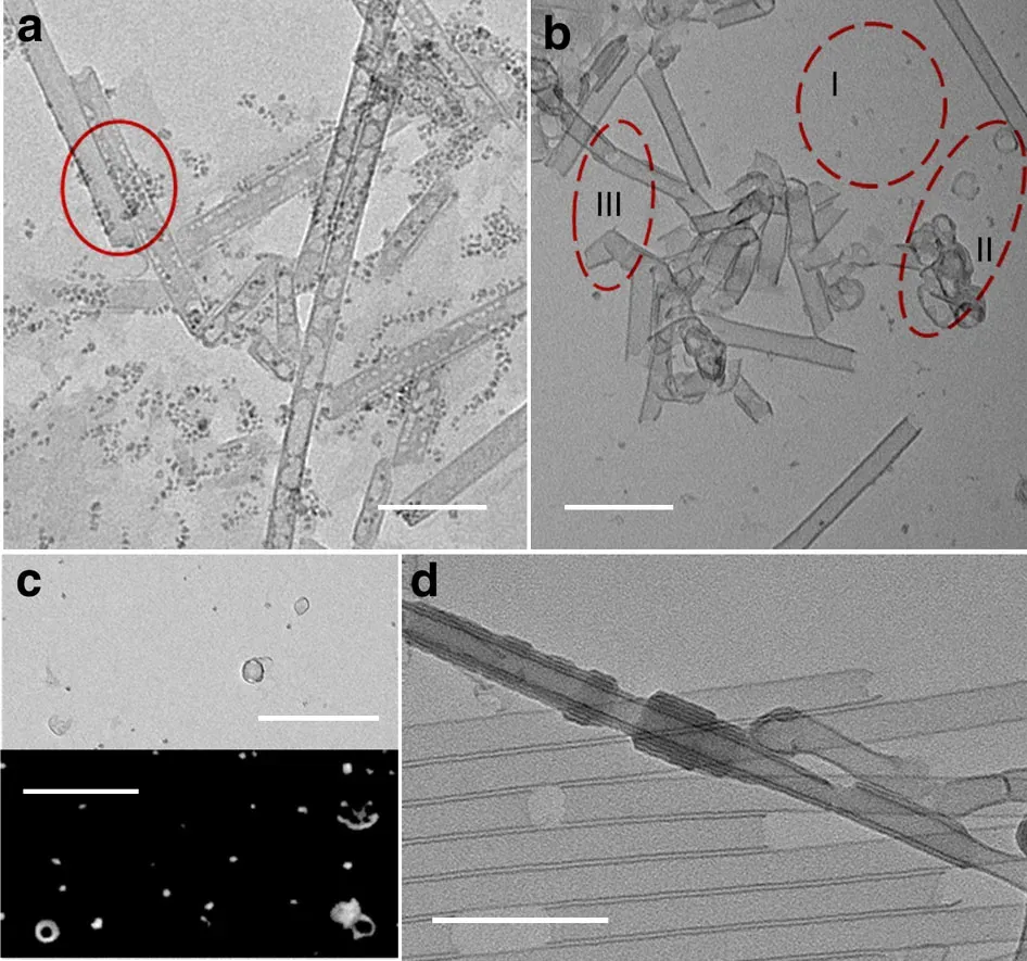 #5 - Water Refuses to Freeze Normally Once It's Squeezed Into Nanoscale Spaces (By Bing Ni et al., CC BY 4.0)