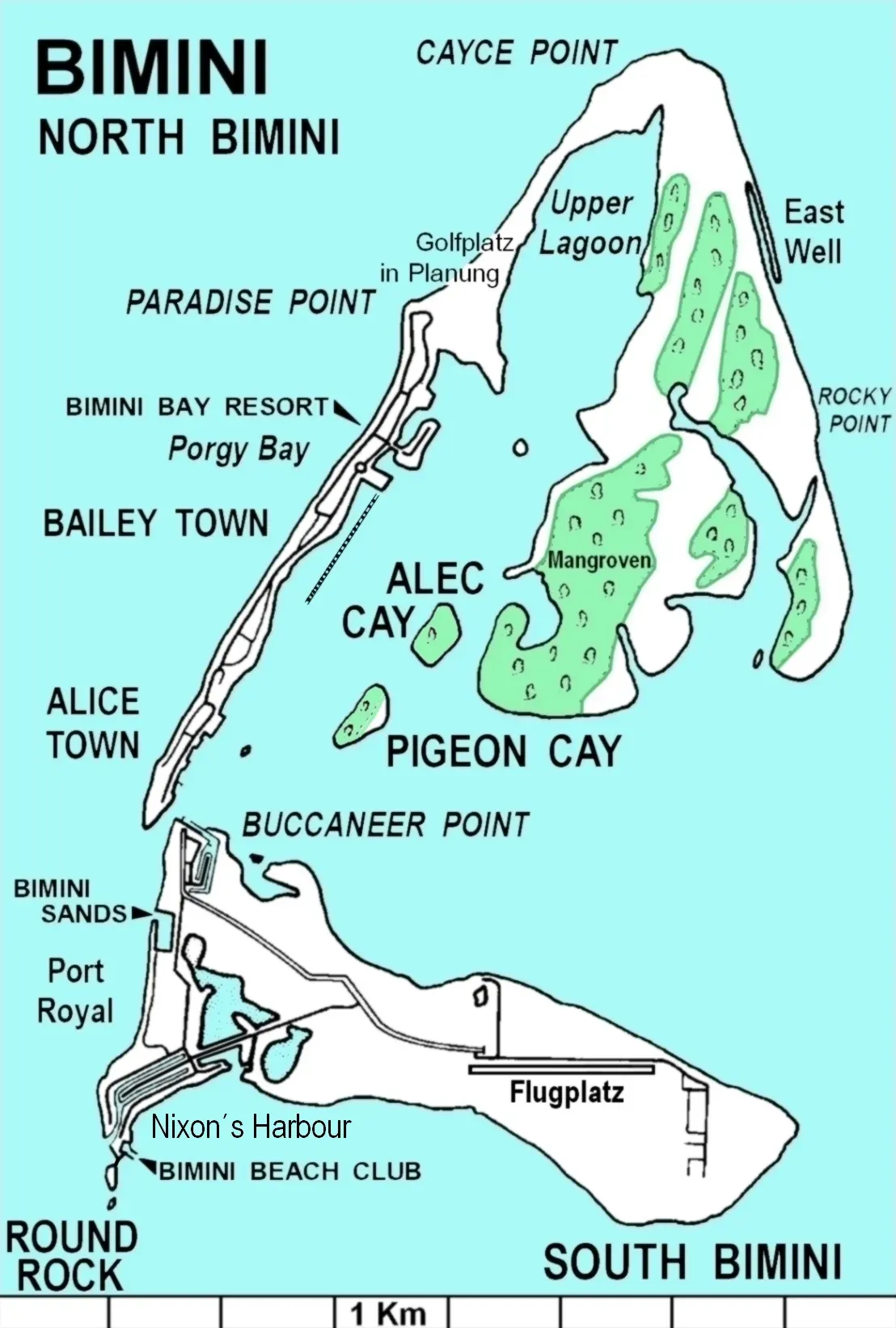 Bimini Road: Path to Atlantis or Nature's Trick? (Image Credits: Wikimedia)