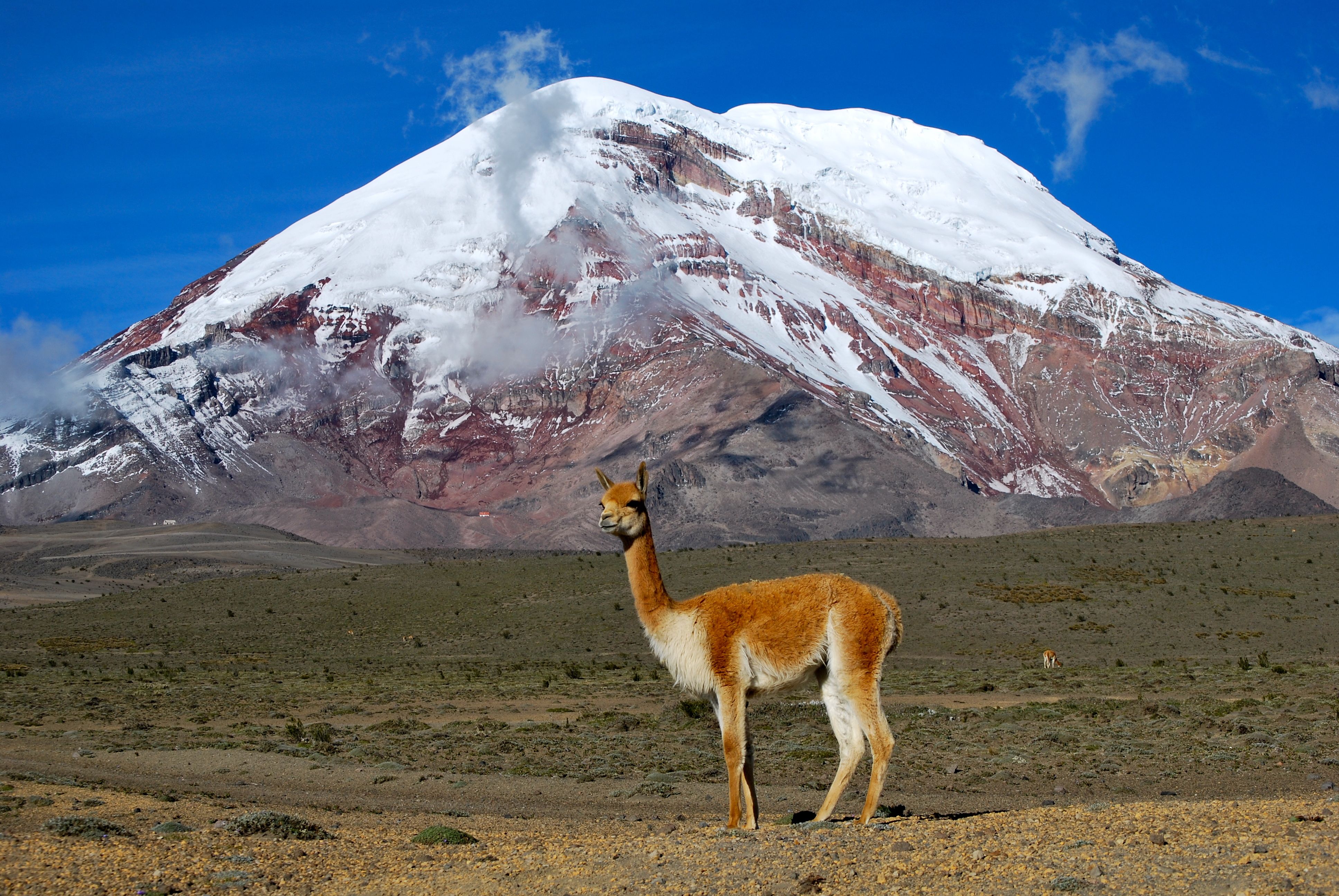 Ecuador's Andean Peaks: High-Altitude Volcanic Drama (Image Credits: Wikimedia)