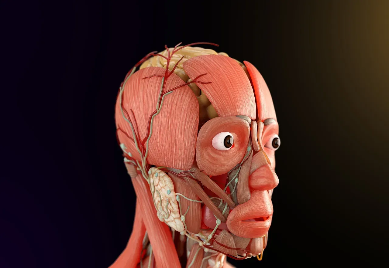 Beyond the Five Senses: Your Body's Hidden Perception Network (Image Credits: Pixabay)