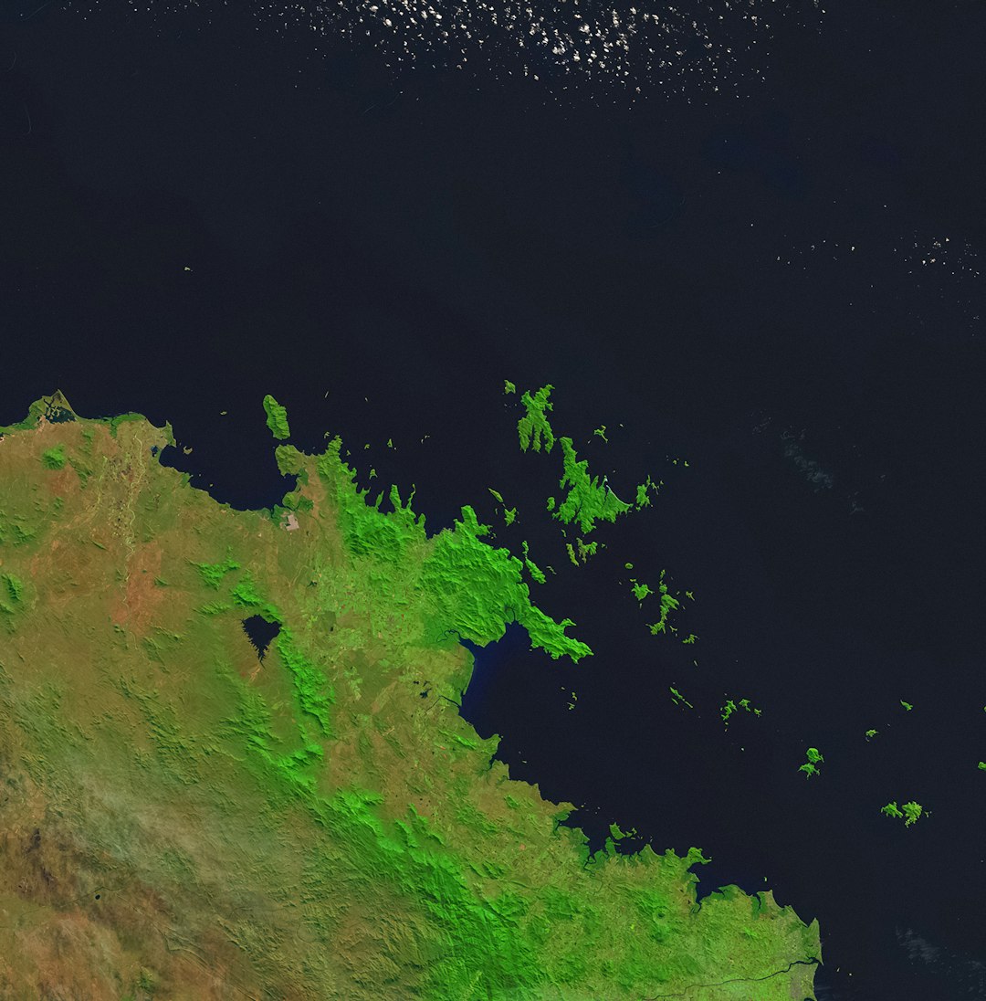 The Hidden Clues (Image Credits: Unsplash)