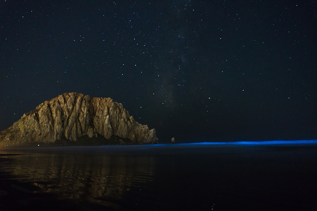 Where to Witness Ocean Bioluminescence Today (Image Credits: Unsplash)