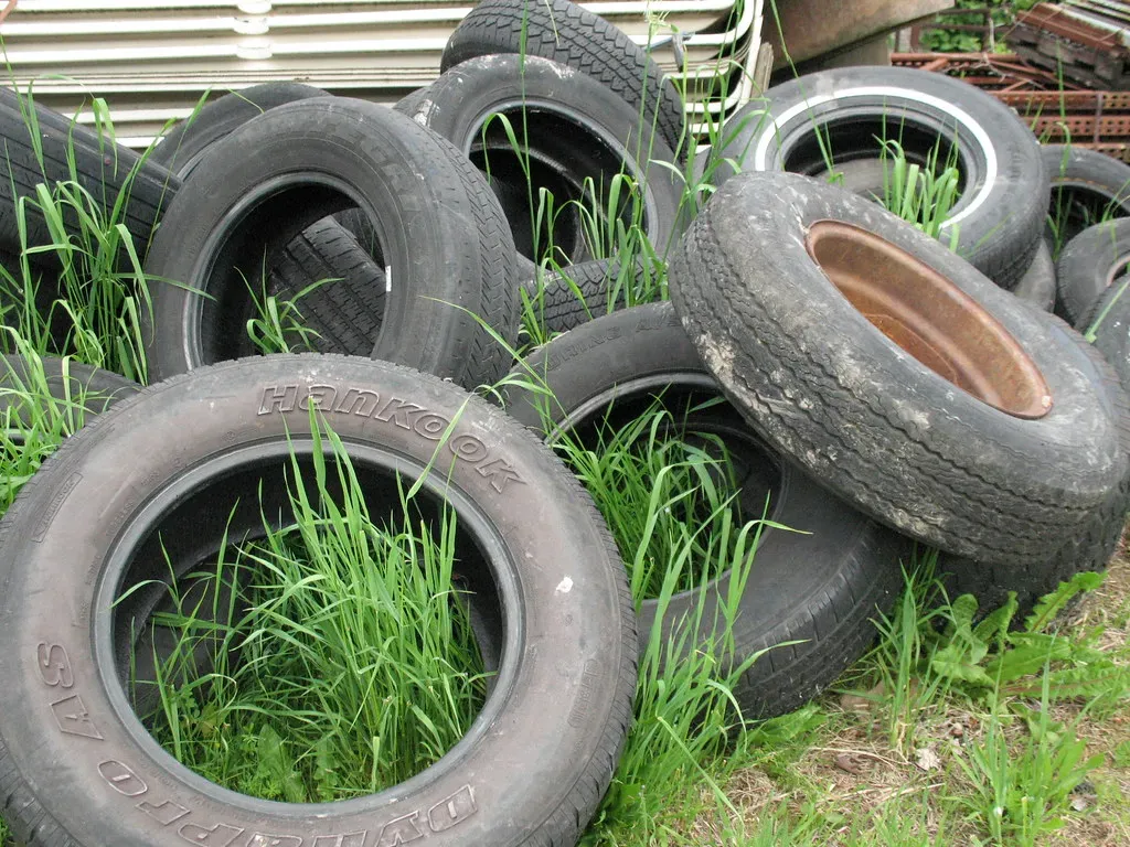 Rubber: The Elastic Power Behind Modern Life (Image Credits: Flickr)