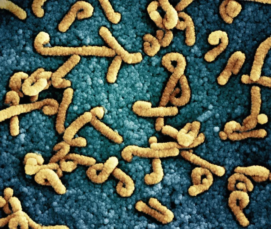 Bacteria, Microbiome, and Putrefaction: When Other Life Takes Over (Image Credits: Unsplash)