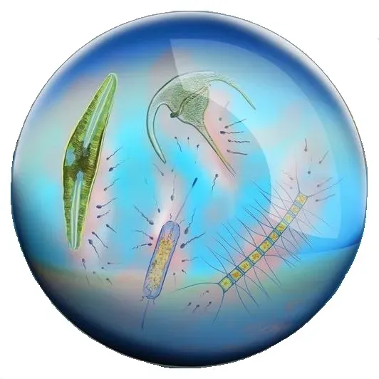 #6 Extremophile Microbes: Life That Redraws The Edges Of “Habitable” (Extracted from this Commons file, CC BY 4.0)