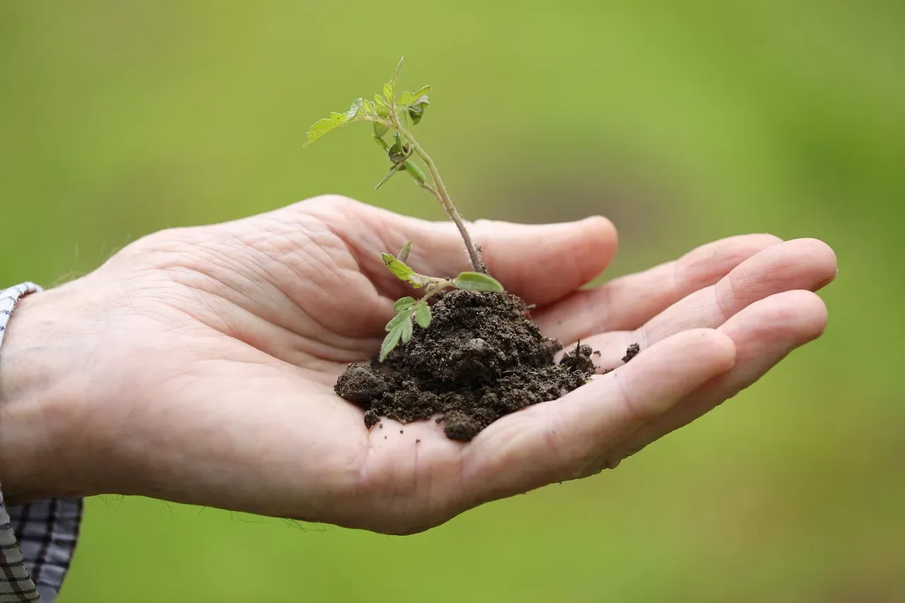 The Surprising Brain Chemistry Hiding in Your Garden Soil (Image Credits: Pixabay)