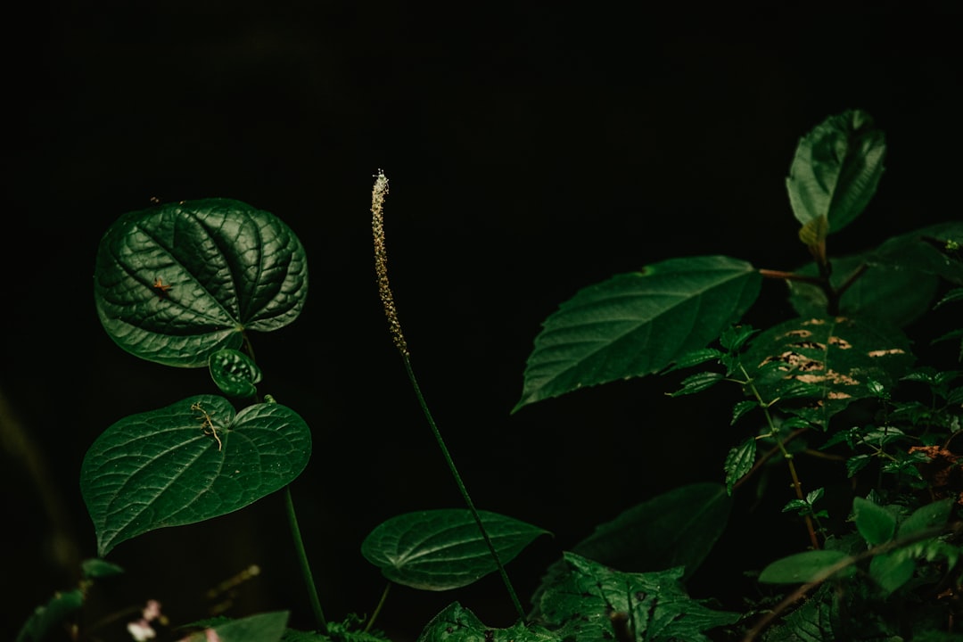 The Biological Clock Connection (Image Credits: Unsplash)