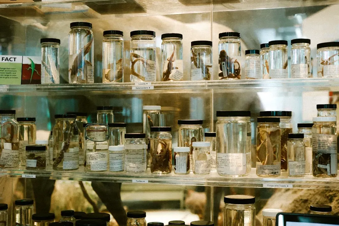 #2 - The "Odd" Human Parasites in Old Pathology Jars (Image Credits: Unsplash)