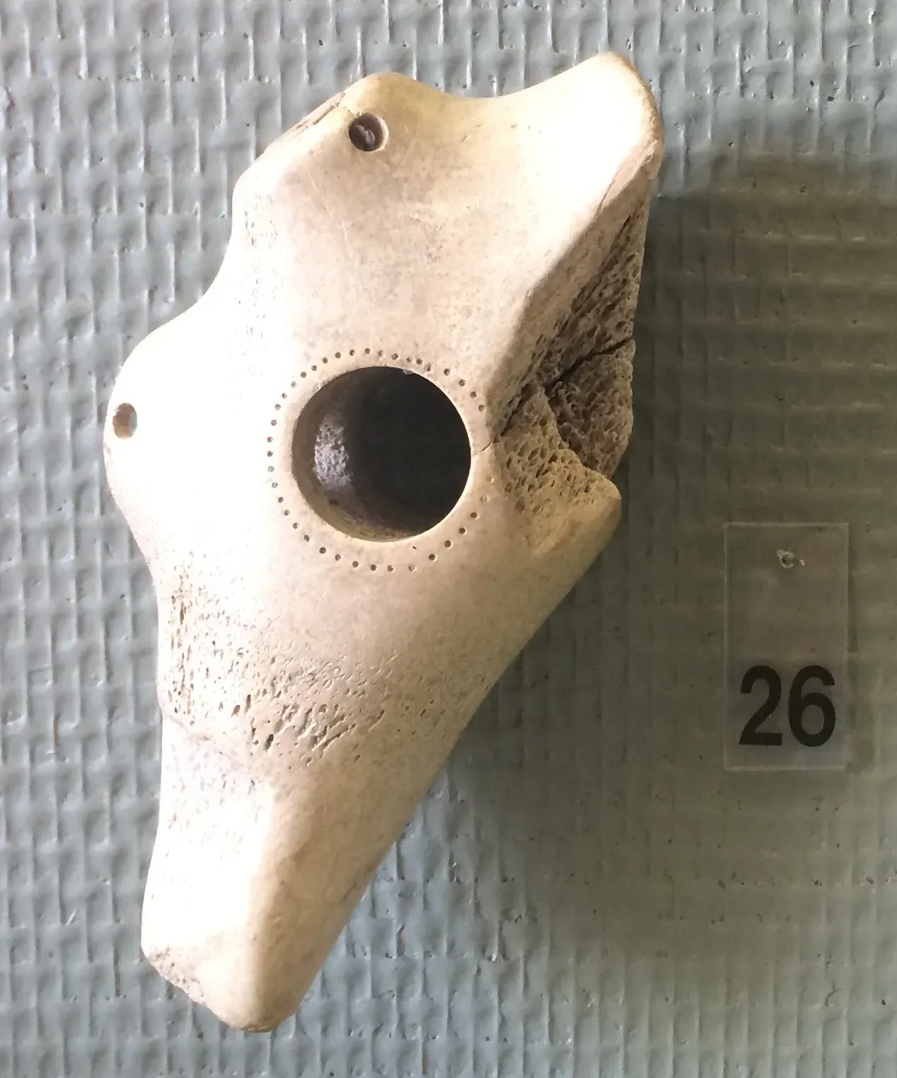 #18 - Bronze Age Bones That Gave Five Different Answers (By Bjoertvedt, CC BY-SA 4.0)