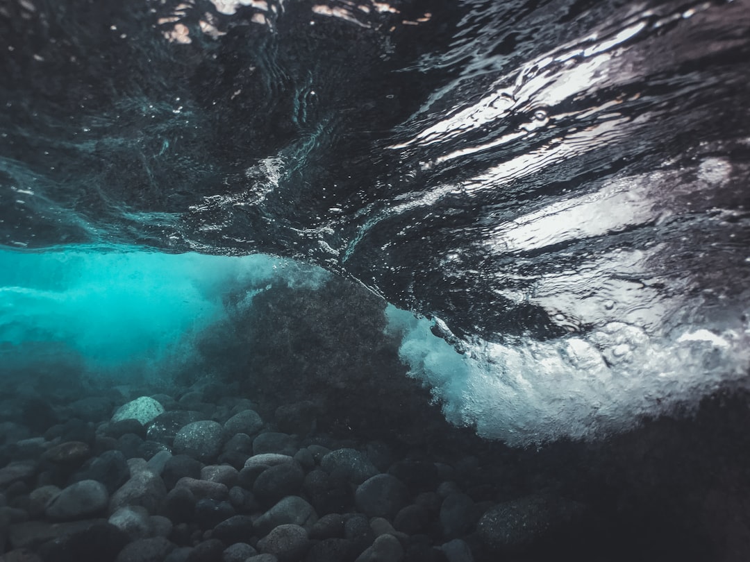 Global Perspectives (Image Credits: Unsplash)
