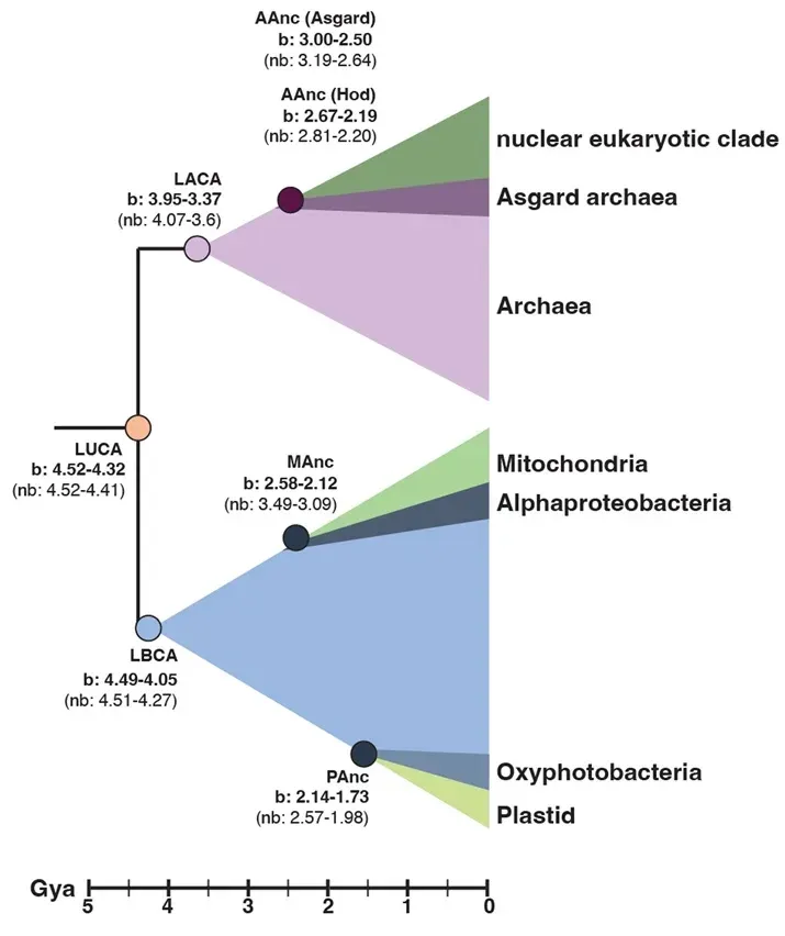 Conclusion (Image Credits: Wikimedia)