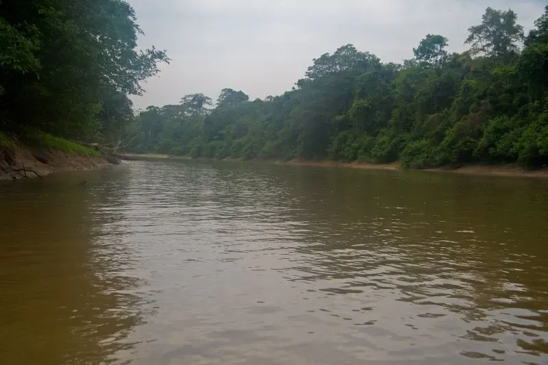 Climate Stress, Deforestation, and a River on the Edge (LollyKnit, Flickr, CC BY 2.0)