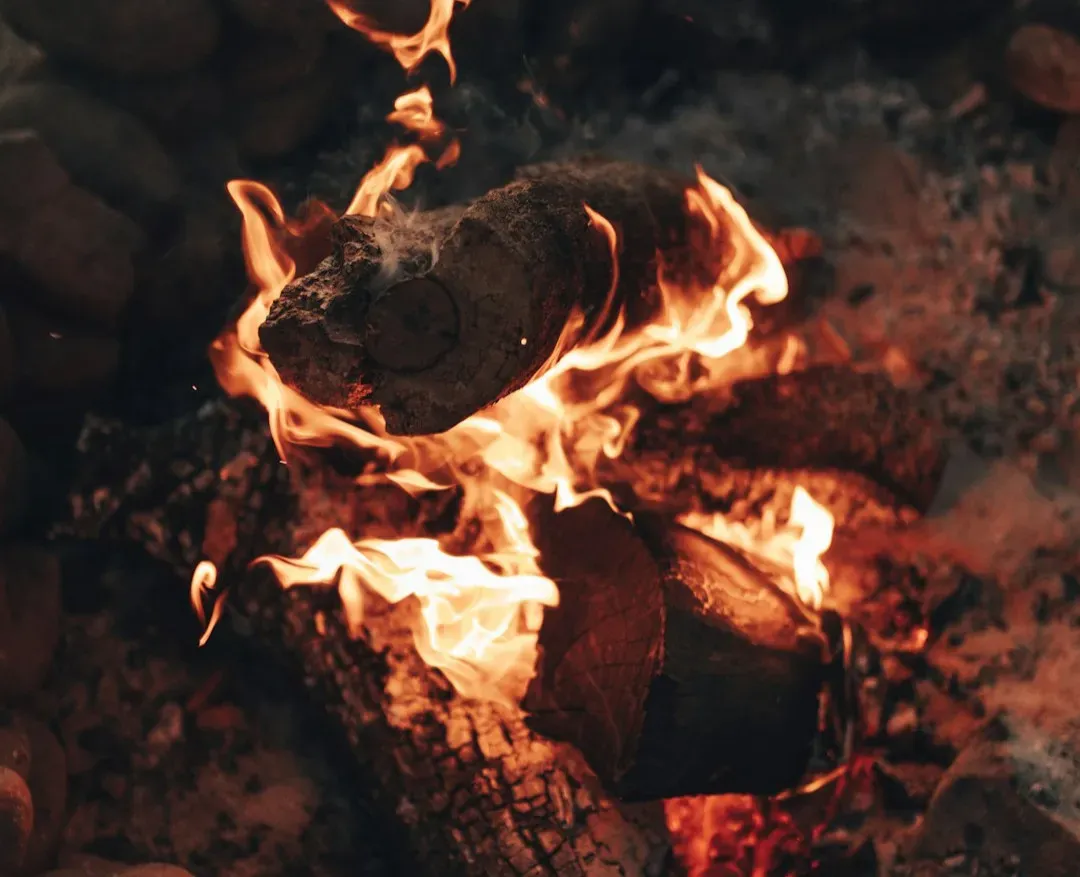 Footprints, Fire, and the New Timelines of Human Presence (Image Credits: Unsplash)