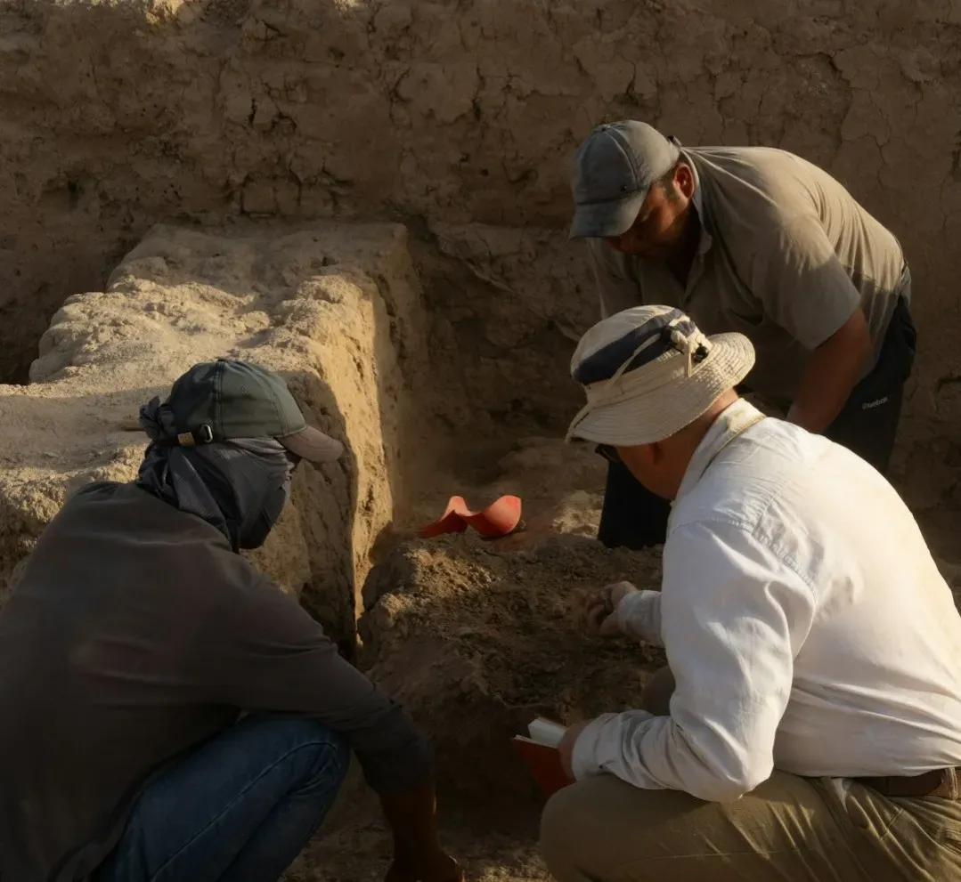 Conclusion: You Are Living in Archaeology’s Cliffhanger Era (Image Credits: Unsplash)