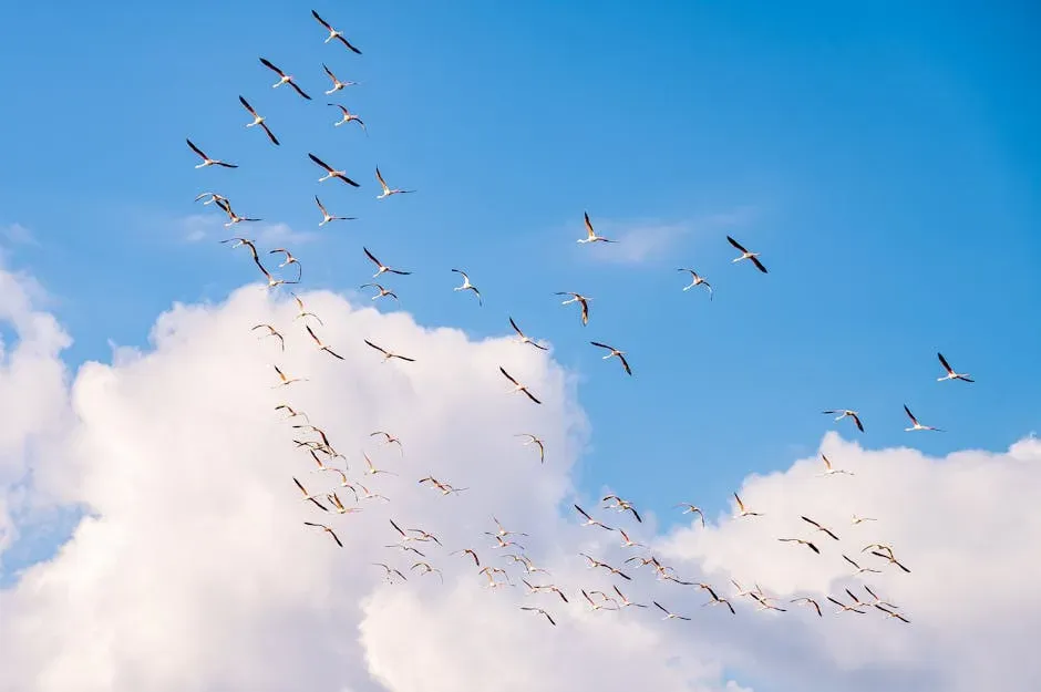 Reading the Earth's Magnetic Field (Image Credits: Pexels)