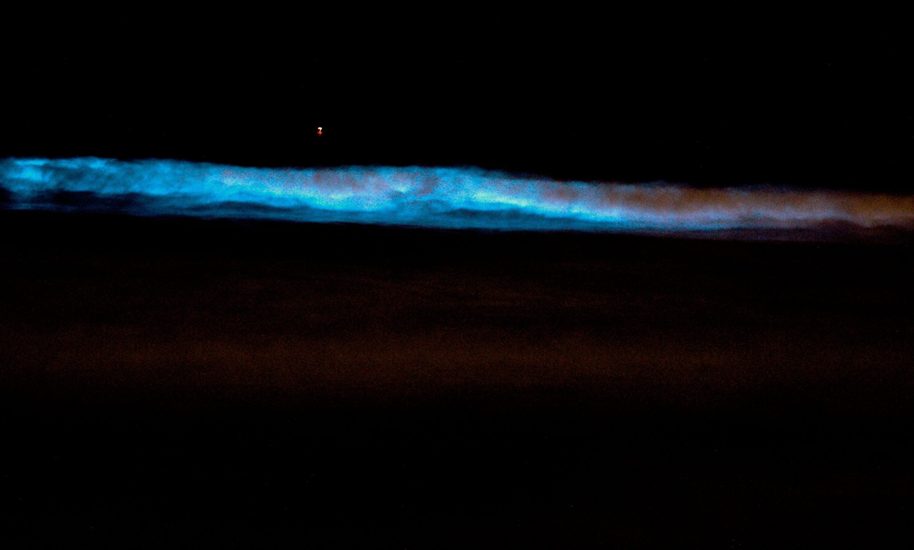 Aquarius: The Social Dinoflagellate Community (Image Credits: Wikimedia)