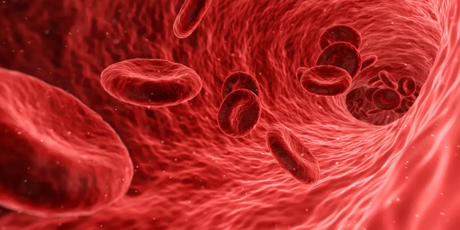 Red Blood Cells Are More Clever Than We Thought (Image Credits: Wikimedia)