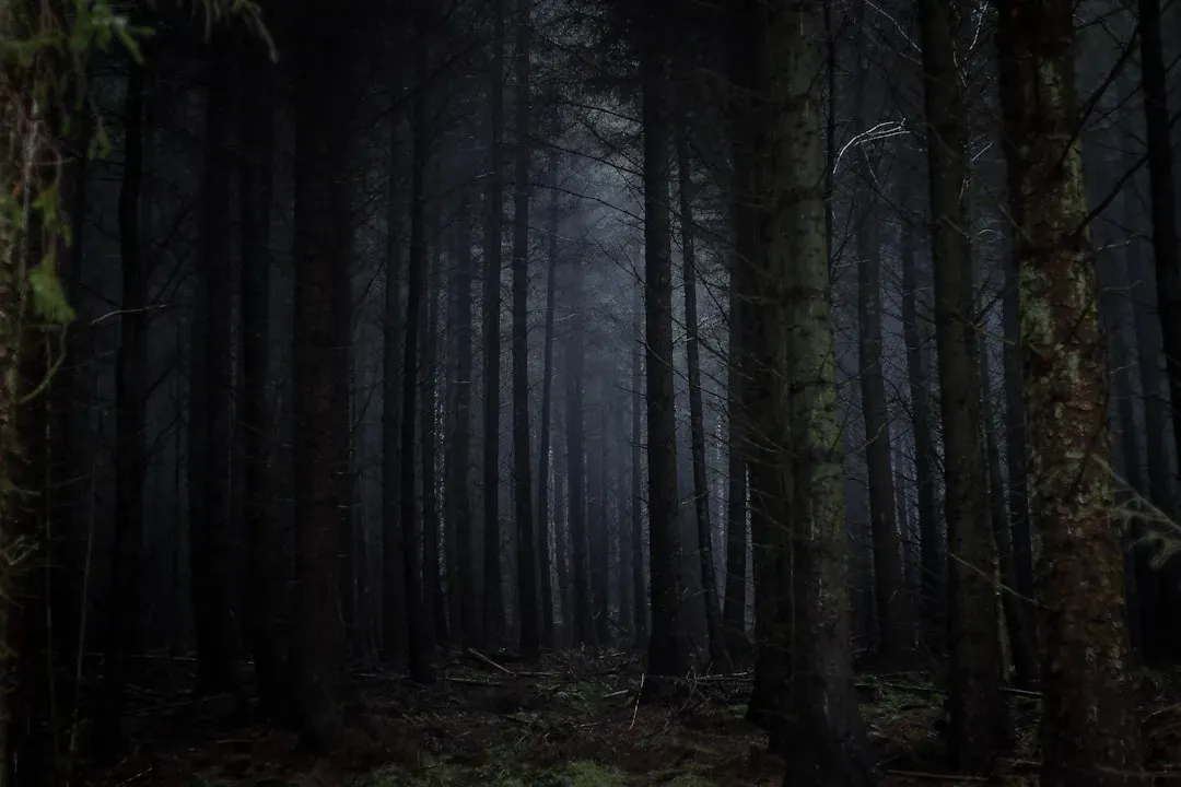 Why Darkness Makes Everything Feel More Dangerous (Image Credits: Unsplash)