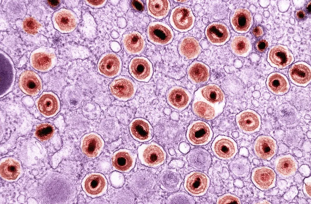 Senolytic Therapies: Clearing Out The Body’s “Zombie” Cells (Image Credits: Unsplash)